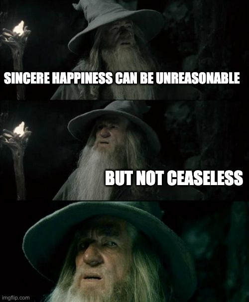Rabbit Hole: Happiness | SINCERE HAPPINESS CAN BE UNREASONABLE; BUT NOT CEASELESS | image tagged in memes,confused gandalf | made w/ Imgflip meme maker