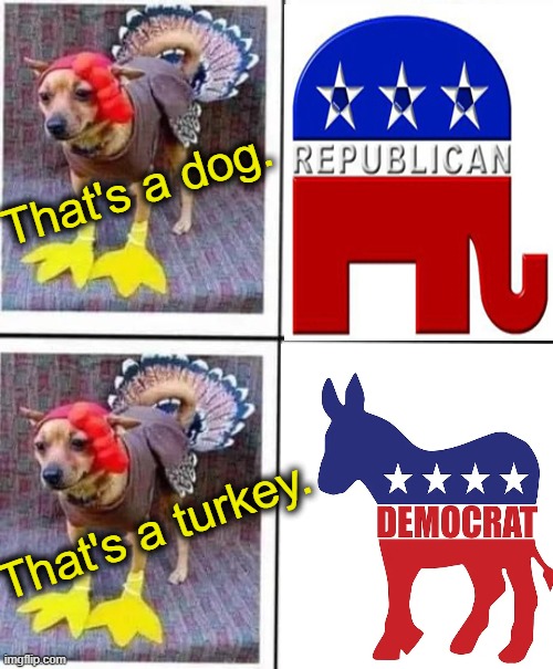 And Your Perspective? | That's a dog. That's a turkey. | image tagged in politics,imgflip humor,perspective,republican,democrat,choices | made w/ Imgflip meme maker