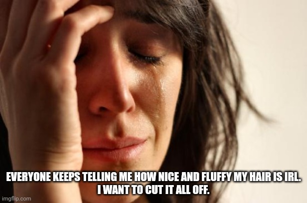 First World Problems | EVERYONE KEEPS TELLING ME HOW NICE AND FLUFFY MY HAIR IS IRL.
I WANT TO CUT IT ALL OFF. | image tagged in memes,first world problems | made w/ Imgflip meme maker