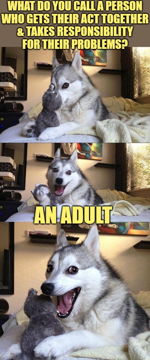 Adult Pun | WHAT DO YOU CALL A PERSON
WHO GETS THEIR ACT TOGETHER
& TAKES RESPONSIBILITY
FOR THEIR PROBLEMS? AN ADULT | image tagged in memes,bad pun dog,adult humor,adult swim,jokes,so true | made w/ Imgflip meme maker