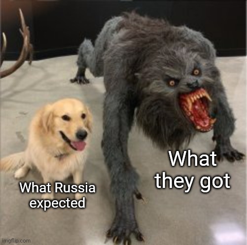 THE FUNY DOG HAHA | What they got What Russia expected | image tagged in the funy dog haha | made w/ Imgflip meme maker