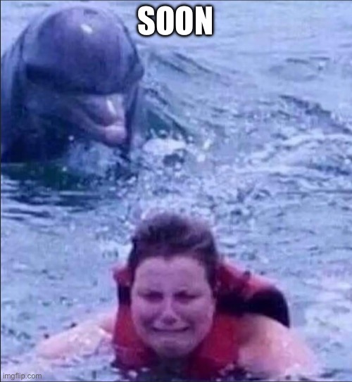 Dolphin | SOON | image tagged in kid fears dolphins,dolphin,rape,kill | made w/ Imgflip meme maker
