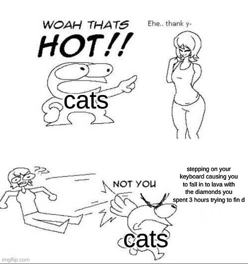 cats in a nutshell | cats; stepping on your keyboard causing you to fall in to lava with the diamonds you spent 3 hours trying to fin d; cats | image tagged in woah thats hot | made w/ Imgflip meme maker