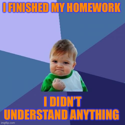 It happens all the time | I FINISHED MY HOMEWORK; I DIDN’T UNDERSTAND ANYTHING | image tagged in memes,success kid | made w/ Imgflip meme maker
