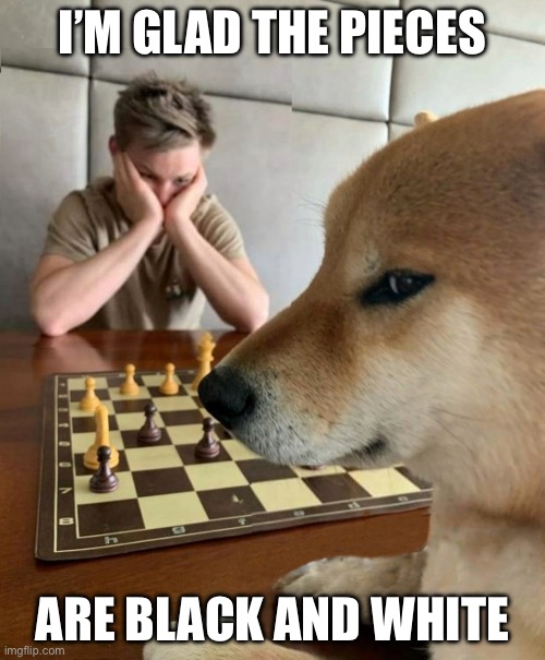 Black and white | I’M GLAD THE PIECES; ARE BLACK AND WHITE | image tagged in chess doge | made w/ Imgflip meme maker