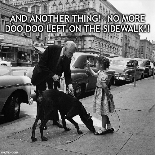 vintage Vivian Maier photo 001 | AND ANOTHER THING!  NO MORE DOO DOO LEFT ON THE SIDEWALK!! | image tagged in dog doo doo sidewalk | made w/ Imgflip meme maker