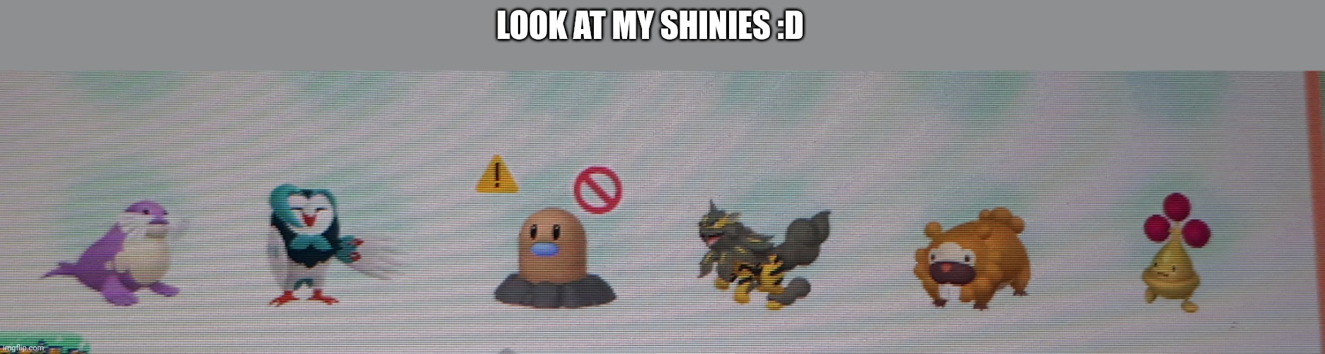 :D | LOOK AT MY SHINIES :D | image tagged in shiny | made w/ Imgflip meme maker