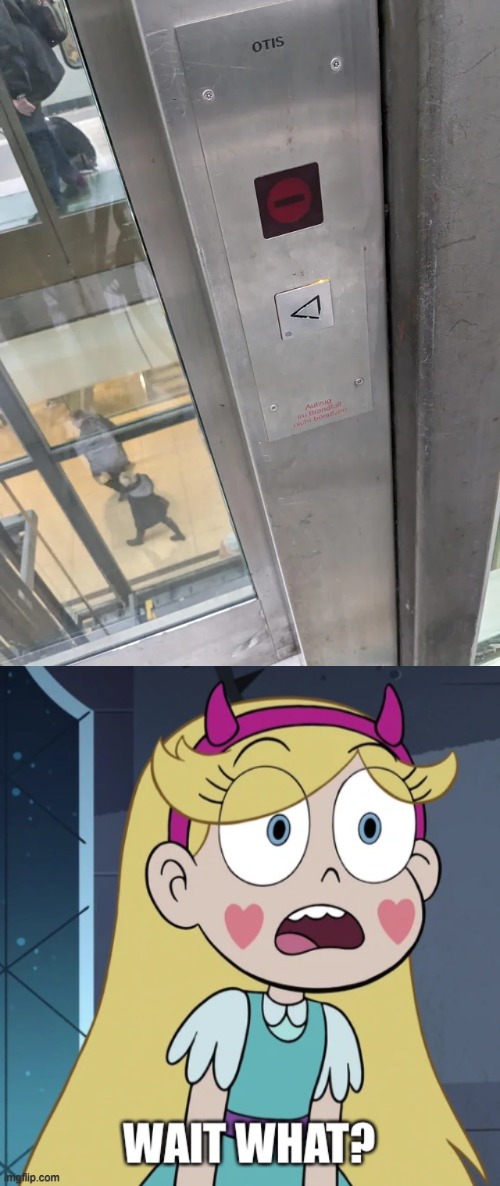 so i go left on a elevator now? | image tagged in star butterfly wait what,elevator,star vs the forces of evil,you had one job,failure,memes | made w/ Imgflip meme maker