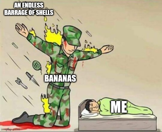 If you play Mario kart you can understand this | AN ENDLESS BARRAGE OF SHELLS; BANANAS; ME | image tagged in soldier protecting sleeping child,mario kart,gaming,memes | made w/ Imgflip meme maker