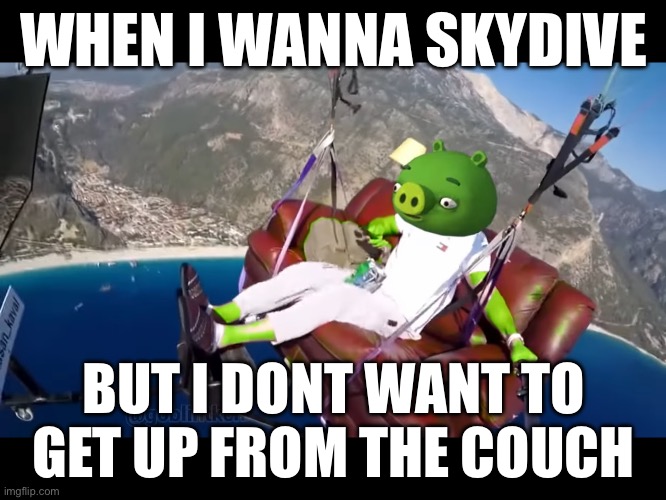 smort | WHEN I WANNA SKYDIVE; BUT I DONT WANT TO GET UP FROM THE COUCH | image tagged in fun | made w/ Imgflip meme maker