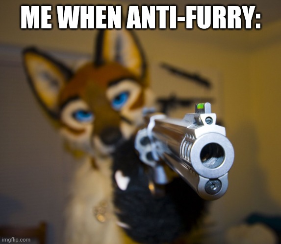 Furry with gun | ME WHEN ANTI-FURRY: | image tagged in furry with gun | made w/ Imgflip meme maker