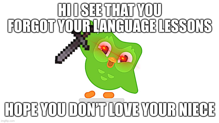 Doulingo | HI I SEE THAT YOU FORGOT YOUR LANGUAGE LESSONS; HOPE YOU DON’T LOVE YOUR NIECE | image tagged in doulingo | made w/ Imgflip meme maker