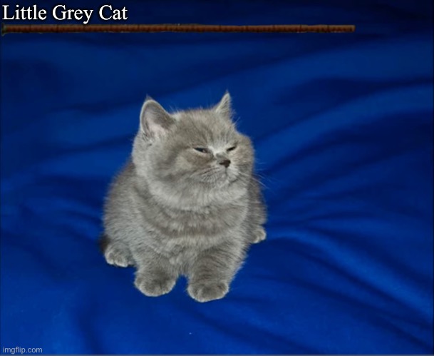 first boss in feline rising | Little Grey Cat | made w/ Imgflip meme maker