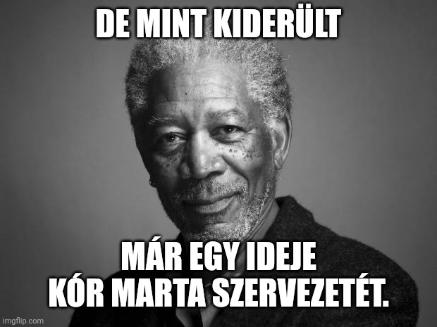Morgan Freeman | DE MINT KIDERÜLT; MÁR EGY IDEJE KÓR MARTA SZERVEZETÉT. | image tagged in morgan freeman | made w/ Imgflip meme maker
