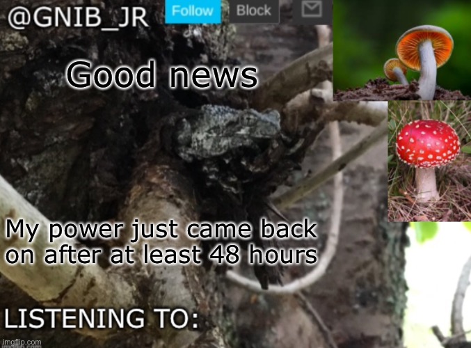 Yesss!! | Good news; My power just came back on after at least 48 hours | image tagged in gnib_jr's new temp | made w/ Imgflip meme maker