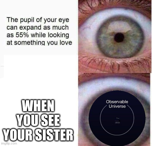 expanding eye | WHEN YOU SEE YOUR SISTER | image tagged in expanding eye | made w/ Imgflip meme maker