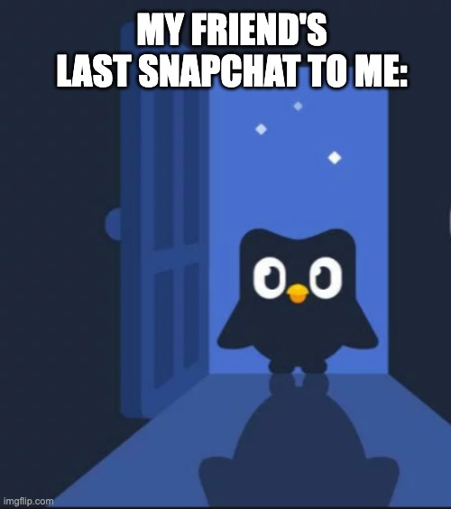 If the Duolingo Bird sees this, please don't hurt my family | MY FRIEND'S LAST SNAPCHAT TO ME: | image tagged in duolingo bird | made w/ Imgflip meme maker