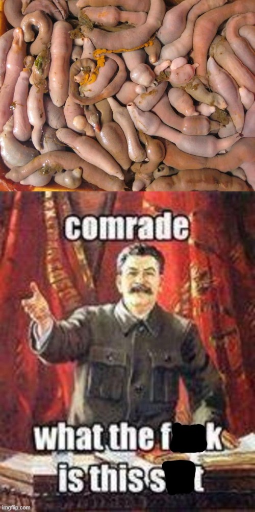 image tagged in comrade what the f k is this sh t censored,gross,food,wtf,memes,funny | made w/ Imgflip meme maker
