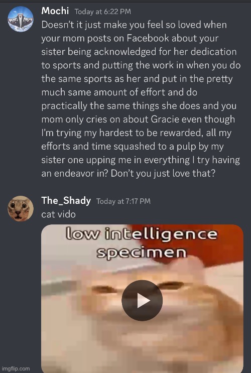 cat vido | made w/ Imgflip meme maker