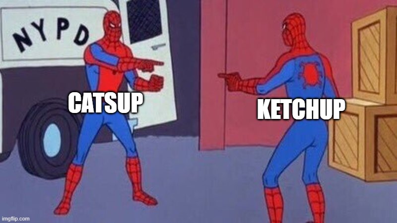 comment if you have seen catsup at a store | CATSUP; KETCHUP | image tagged in spiderman pointing at spiderman | made w/ Imgflip meme maker
