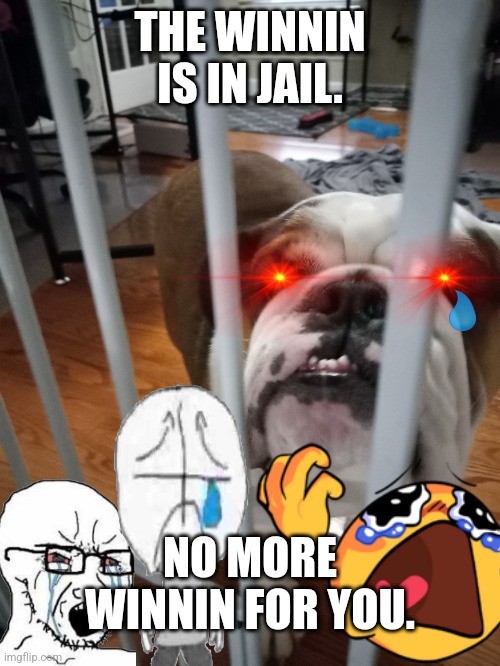 The winnin got arrested. :( | THE WINNIN IS IN JAIL. NO MORE WINNIN FOR YOU. | image tagged in jail winnin | made w/ Imgflip meme maker
