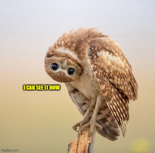 Upside down owl look | I CAN SEE IT NOW | image tagged in upside down owl look | made w/ Imgflip meme maker