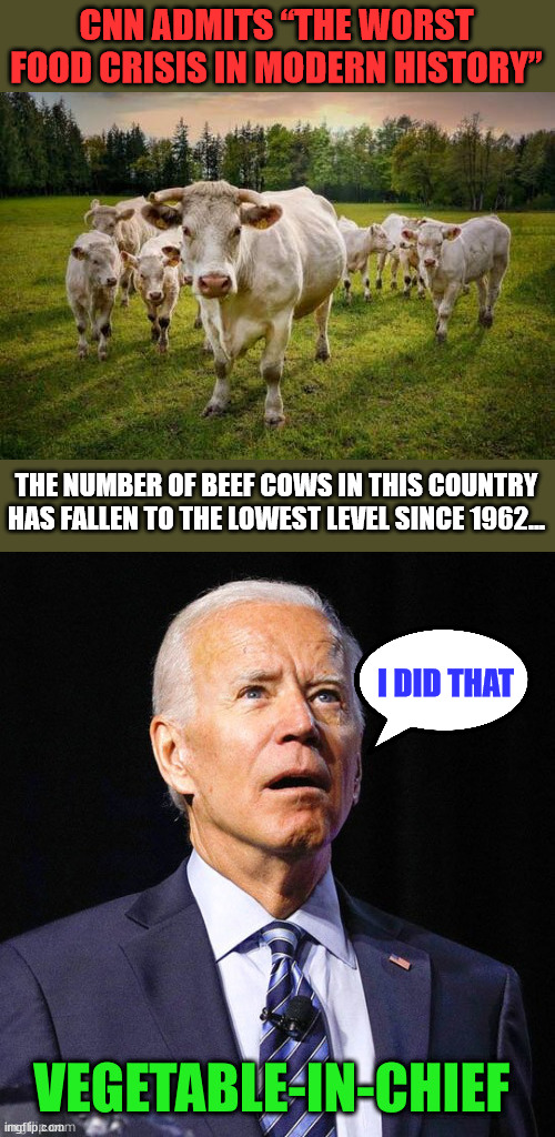 And that ain't no bull... | CNN ADMITS “THE WORST FOOD CRISIS IN MODERN HISTORY”; THE NUMBER OF BEEF COWS IN THIS COUNTRY HAS FALLEN TO THE LOWEST LEVEL SINCE 1962…; I DID THAT | image tagged in dementia,joe biden | made w/ Imgflip meme maker