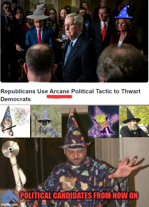 Roll initiative. Give speech. | POLITICAL CANDIDATES FROM NOW ON | image tagged in installation wizard welcome to the internet,pug,wizard,cat,spongebob,politics lol | made w/ Imgflip meme maker