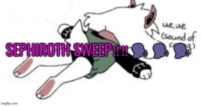 SEPHIROTH SWEEP‼️‼️ | SEPHIROTH SWEEP‼️‼️🗣️🗣️🗣️ | image tagged in ue ue sound of crying | made w/ Imgflip meme maker