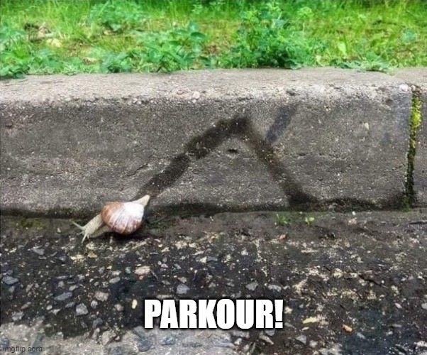 A 3 hour parkour show... | PARKOUR! | image tagged in parkour,snail | made w/ Imgflip meme maker