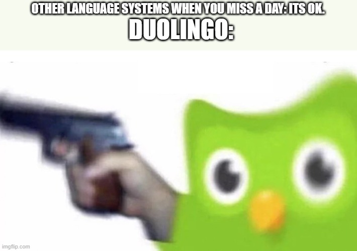 duolingo gun | DUOLINGO:; OTHER LANGUAGE SYSTEMS WHEN YOU MISS A DAY: ITS OK. | image tagged in duolingo gun | made w/ Imgflip meme maker