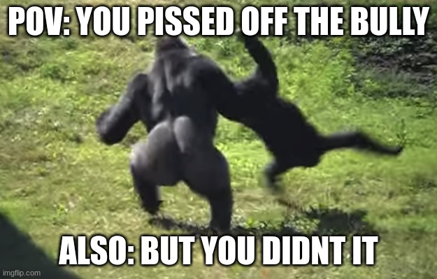 Bullys be like: | POV: YOU PISSED OFF THE BULLY; ALSO: BUT YOU DIDNT IT | image tagged in gorilla throwing another gorilla | made w/ Imgflip meme maker