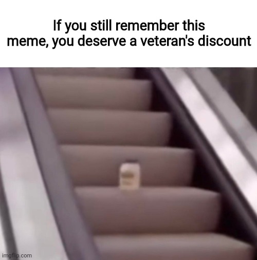 Mayonnaise on an escalator, It's going upstairs so see ya' later | If you still remember this meme, you deserve a veteran's discount | image tagged in mayonnaise on an escalator,funny | made w/ Imgflip meme maker