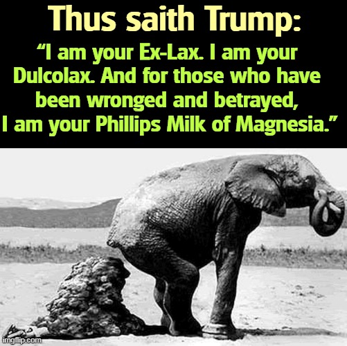 Goo goo ga joob! | Thus saith Trump:; “I am your Ex-Lax. I am your 
Dulcolax. And for those who have 
been wronged and betrayed, 
I am your Phillips Milk of Magnesia.” | image tagged in gop republican fake news - elephant shit,trump,speech,silly,garbage,laxative | made w/ Imgflip meme maker