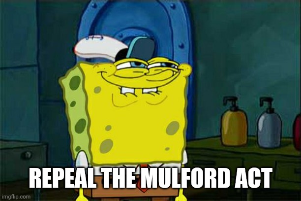 Don't You Squidward | REPEAL THE MULFORD ACT | image tagged in memes,don't you squidward | made w/ Imgflip meme maker