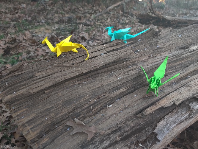 Another picture of my origami dragons, yes these are the same ones from my previous posts | made w/ Imgflip meme maker