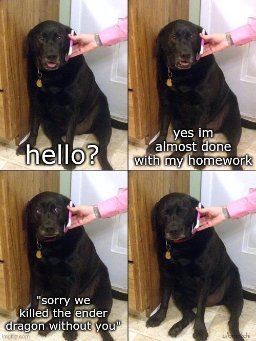 Sad Dog on the Phone | yes im almost done with my homework; hello? "sorry we killed the ender dragon without you" | image tagged in sad dog on the phone | made w/ Imgflip meme maker