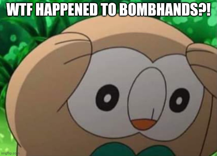 panicked rowlet | WTF HAPPENED TO BOMBHANDS?! | image tagged in panicked rowlet | made w/ Imgflip meme maker