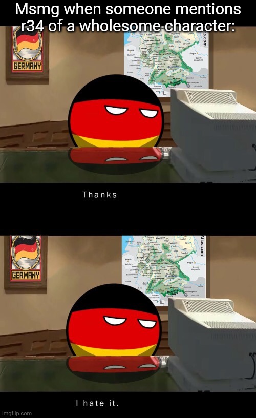 Funny title | Msmg when someone mentions r34 of a wholesome character: | image tagged in germany thanks i hate it | made w/ Imgflip meme maker