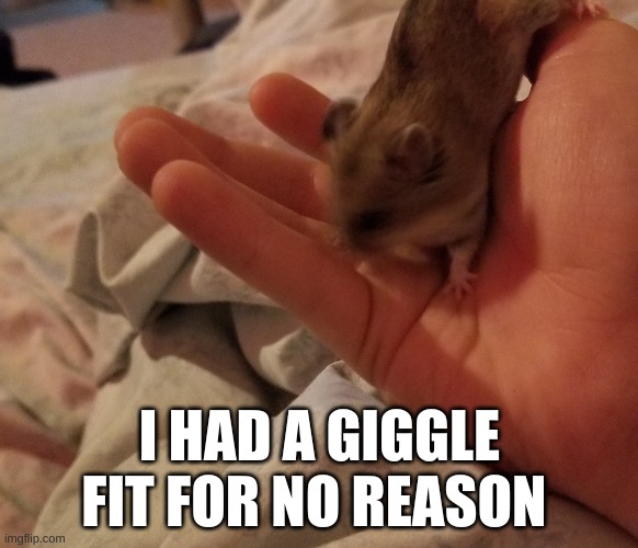 ,. | I HAD A GIGGLE FIT FOR NO REASON | made w/ Imgflip meme maker