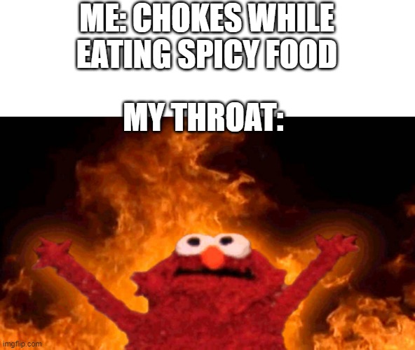 this always happens and it feels like im dying | ME: CHOKES WHILE EATING SPICY FOOD; MY THROAT: | image tagged in elmo fire,memes,funny,relatable,relatable memes,sad but true | made w/ Imgflip meme maker