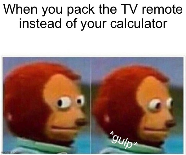 My GrAdE | When you pack the TV remote instead of your calculator; *gulp* | image tagged in memes,monkey puppet | made w/ Imgflip meme maker