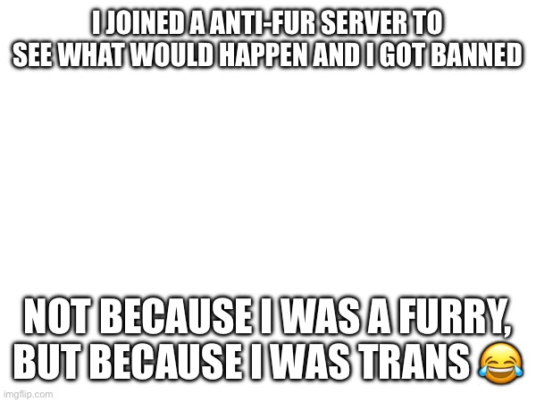 lmao what | I JOINED A ANTI-FUR SERVER TO SEE WHAT WOULD HAPPEN AND I GOT BANNED; NOT BECAUSE I WAS A FURRY, BUT BECAUSE I WAS TRANS 😂 | image tagged in furry,discord | made w/ Imgflip meme maker