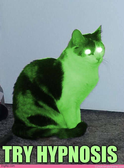 Hypno Raycat | TRY HYPNOSIS | image tagged in hypno raycat | made w/ Imgflip meme maker