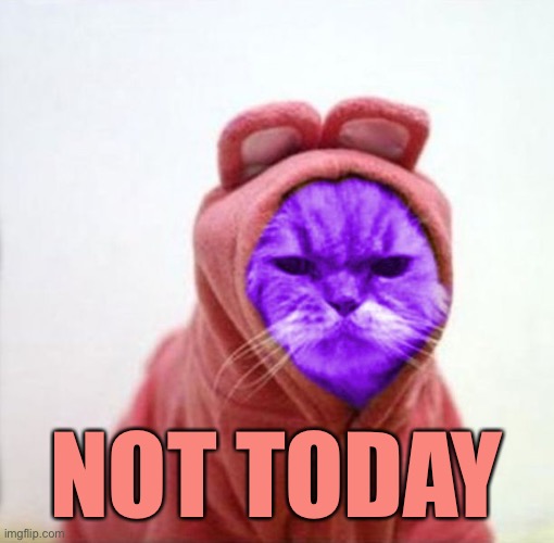 Sullen RayCat | NOT TODAY | image tagged in sullen raycat | made w/ Imgflip meme maker