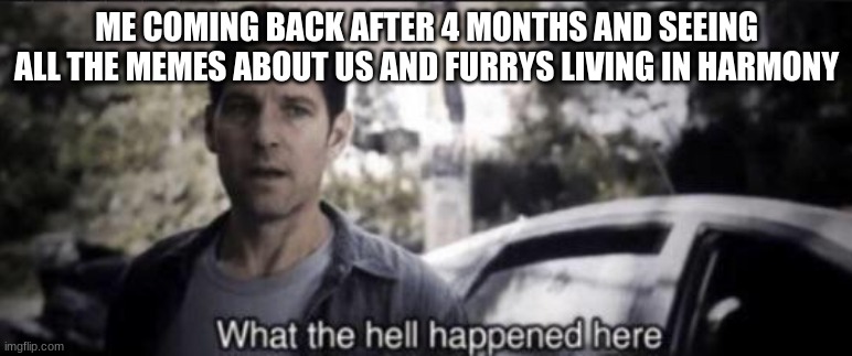 what the hell is going on here | ME COMING BACK AFTER 4 MONTHS AND SEEING ALL THE MEMES ABOUT US AND FURRYS LIVING IN HARMONY | image tagged in what the hell happened here,what the hell,wtaf | made w/ Imgflip meme maker