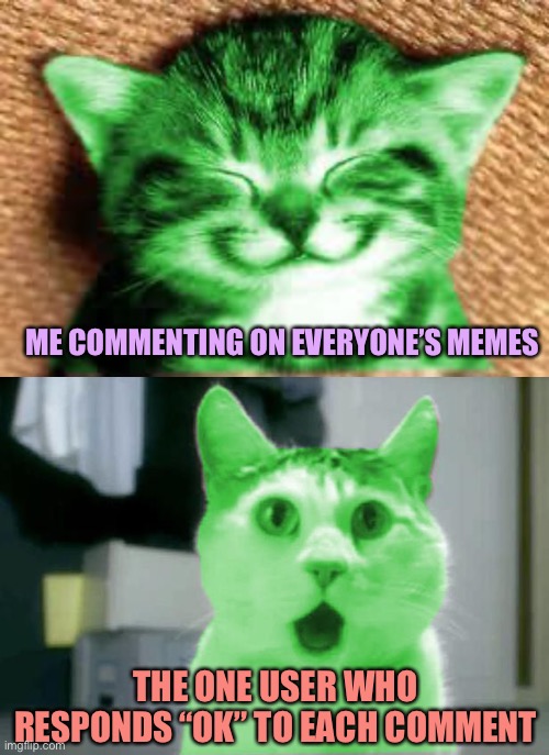 RayCat likes good responses | ME COMMENTING ON EVERYONE’S MEMES; THE ONE USER WHO RESPONDS “OK” TO EACH COMMENT | image tagged in happy raycat,omg raycat,memes,raycat | made w/ Imgflip meme maker