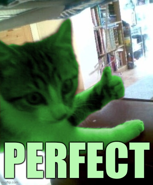 thumbs up RayCat | PERFECT | image tagged in thumbs up raycat | made w/ Imgflip meme maker