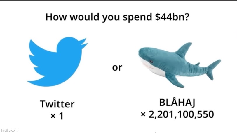 Im going for the blahaj any day | image tagged in twitter,shark,stuffed animal,ikea | made w/ Imgflip meme maker
