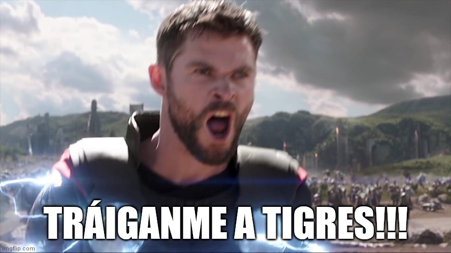 High Quality Traiganme a Tigres!!! Blank Meme Template